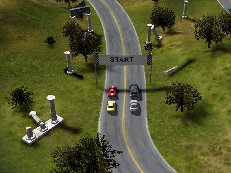    Race Cars